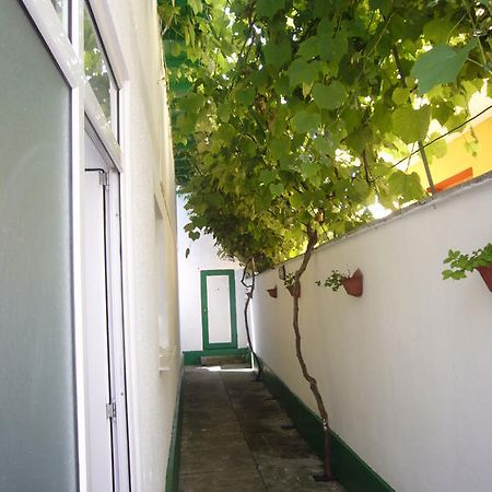 Apartamente Pinciuc Costinesti Exterior foto
