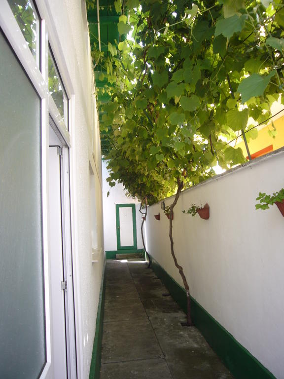 Apartamente Pinciuc Costinesti Exterior foto